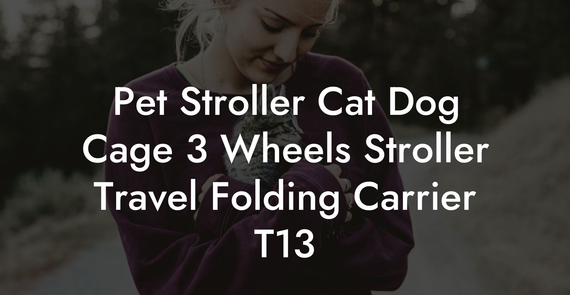 Pet Stroller Cat Dog Cage 3 Wheels Stroller Travel Folding Carrier T13
