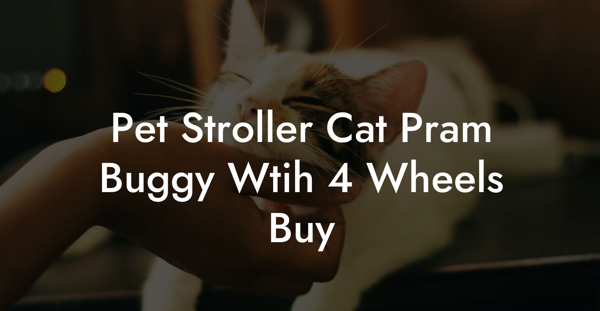 Pet Stroller Cat Pram Buggy Wtih 4 Wheels Buy