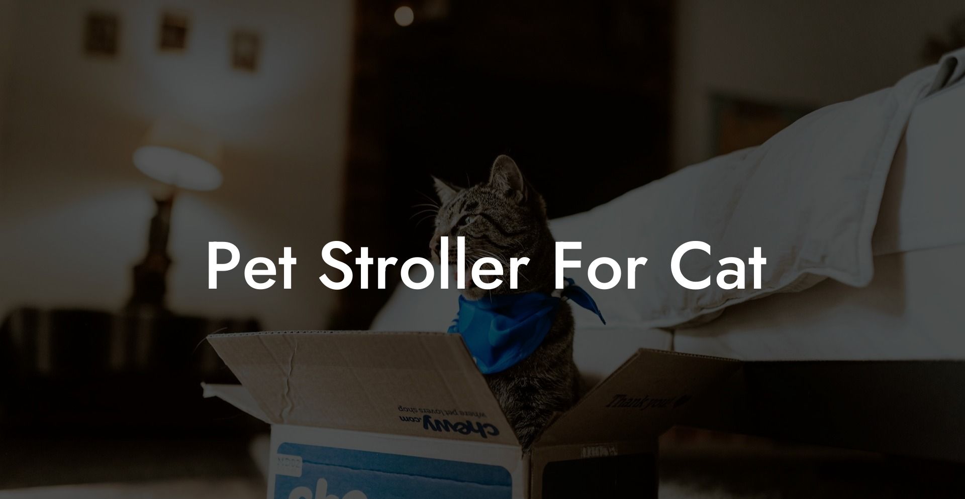 Pet Stroller For Cat