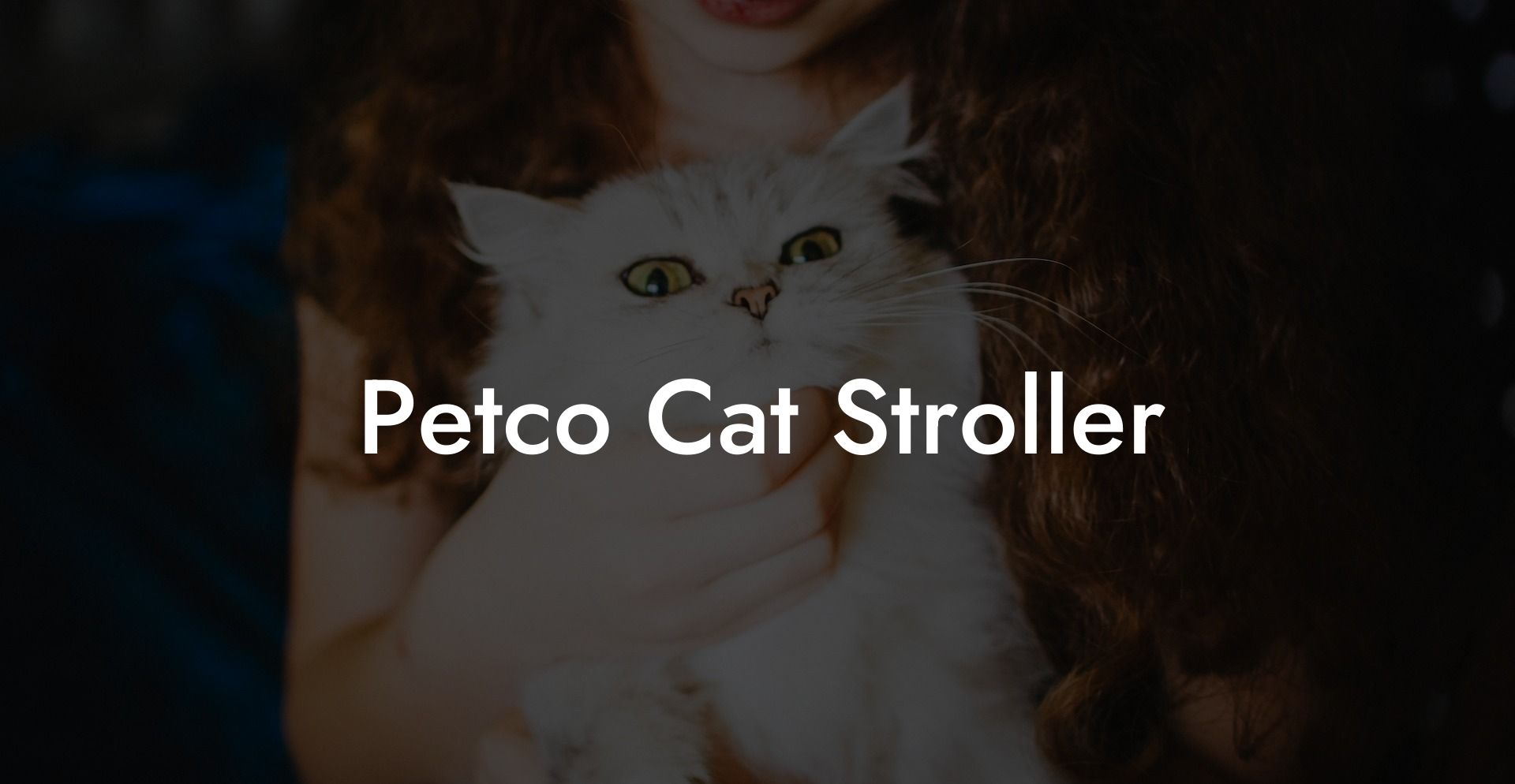 Petco Cat Stroller