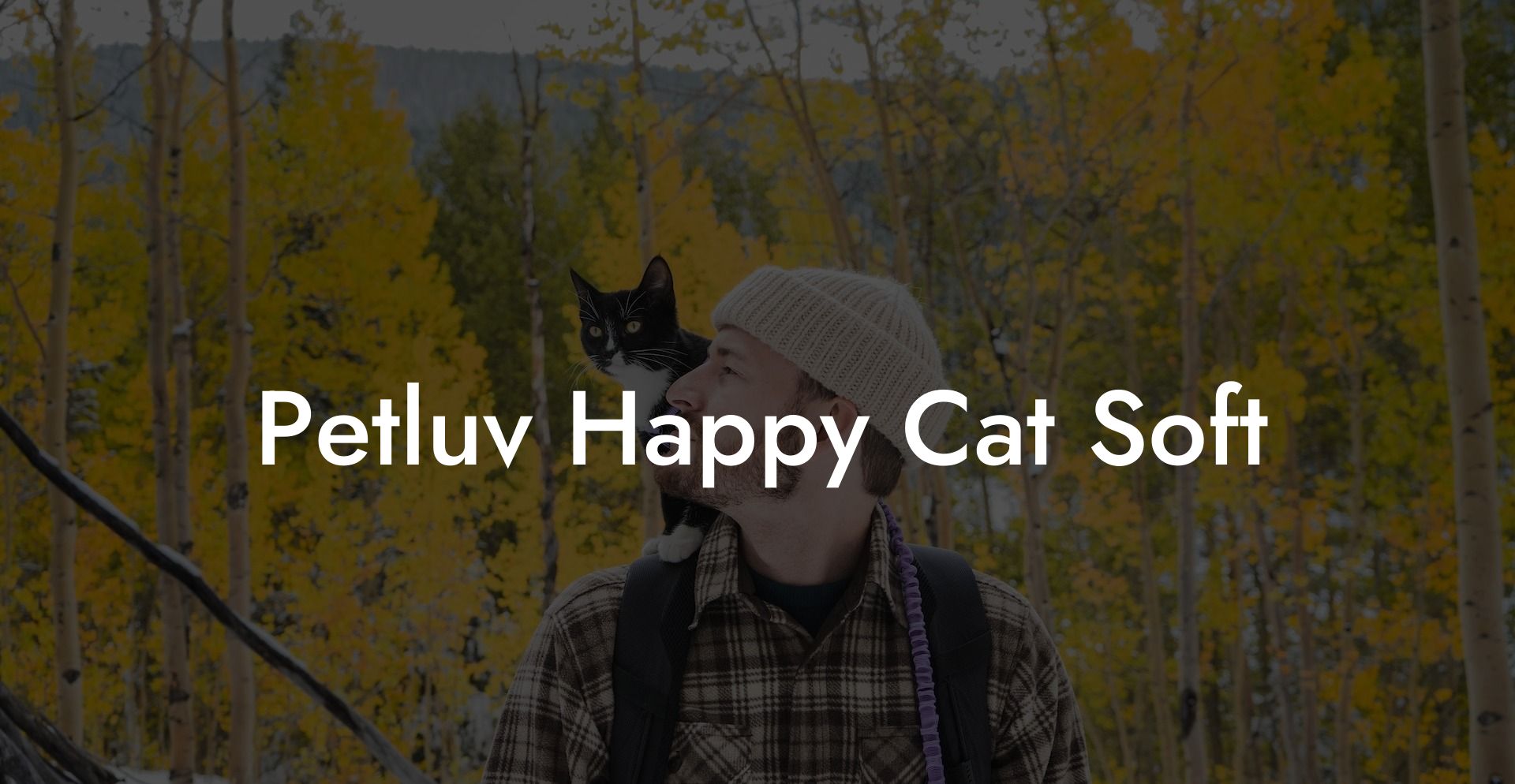 Petluv Happy Cat Soft