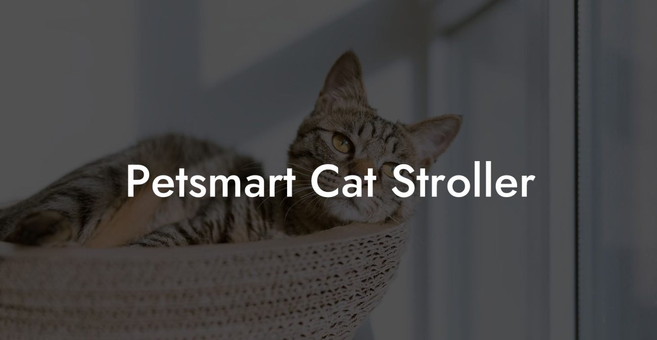 Petsmart Cat Stroller