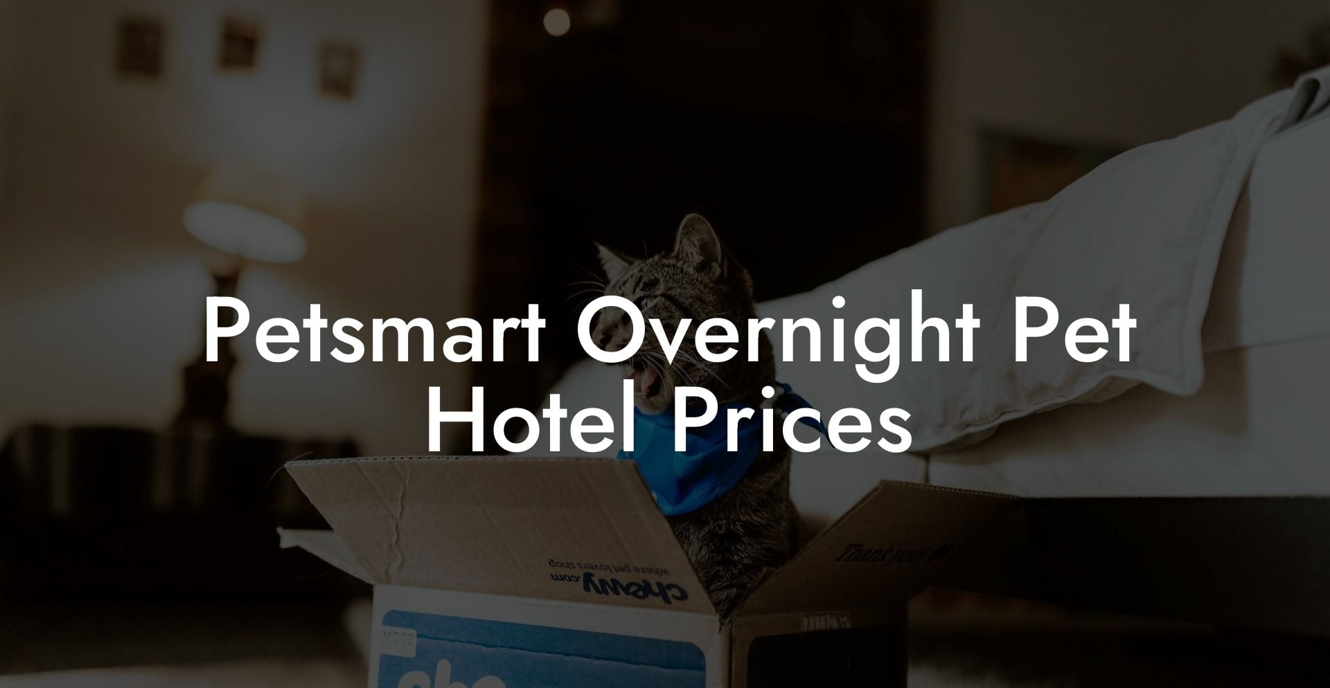 Petsmart Overnight Pet Hotel Prices