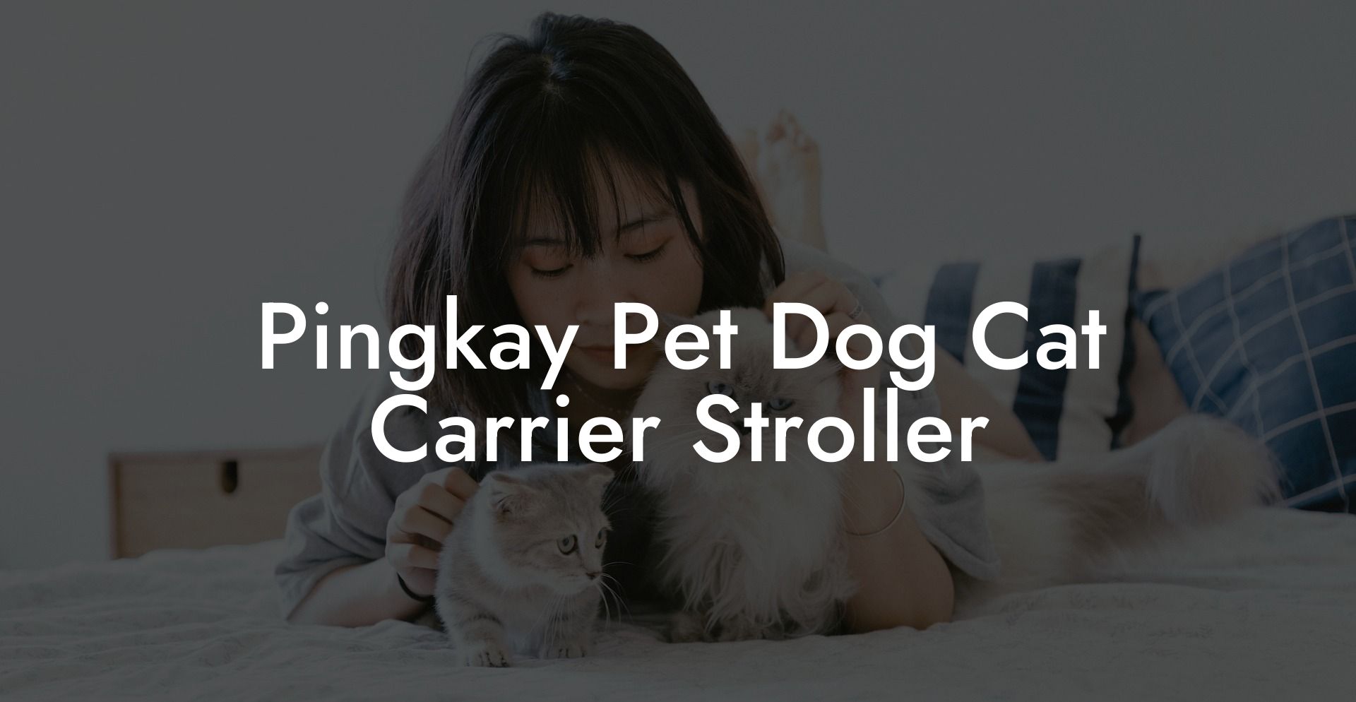 Pingkay Pet Dog Cat Carrier Stroller