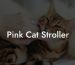 Pink Cat Stroller