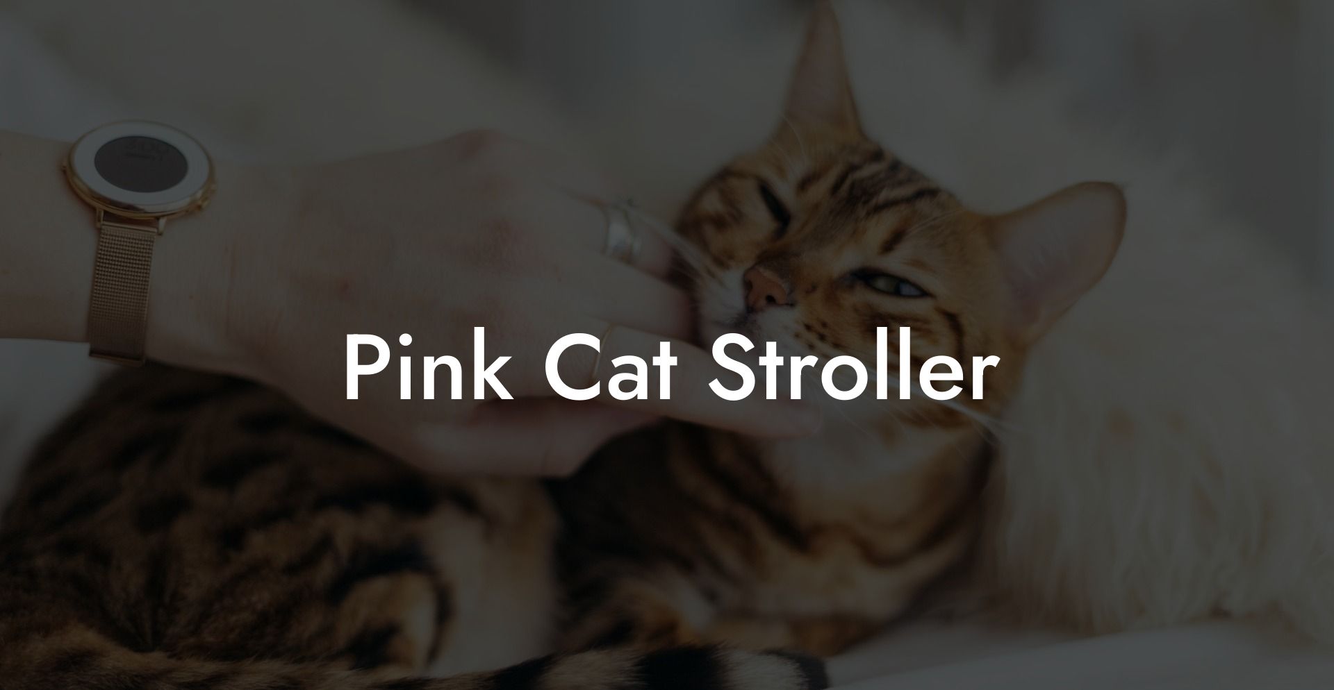 Pink Cat Stroller