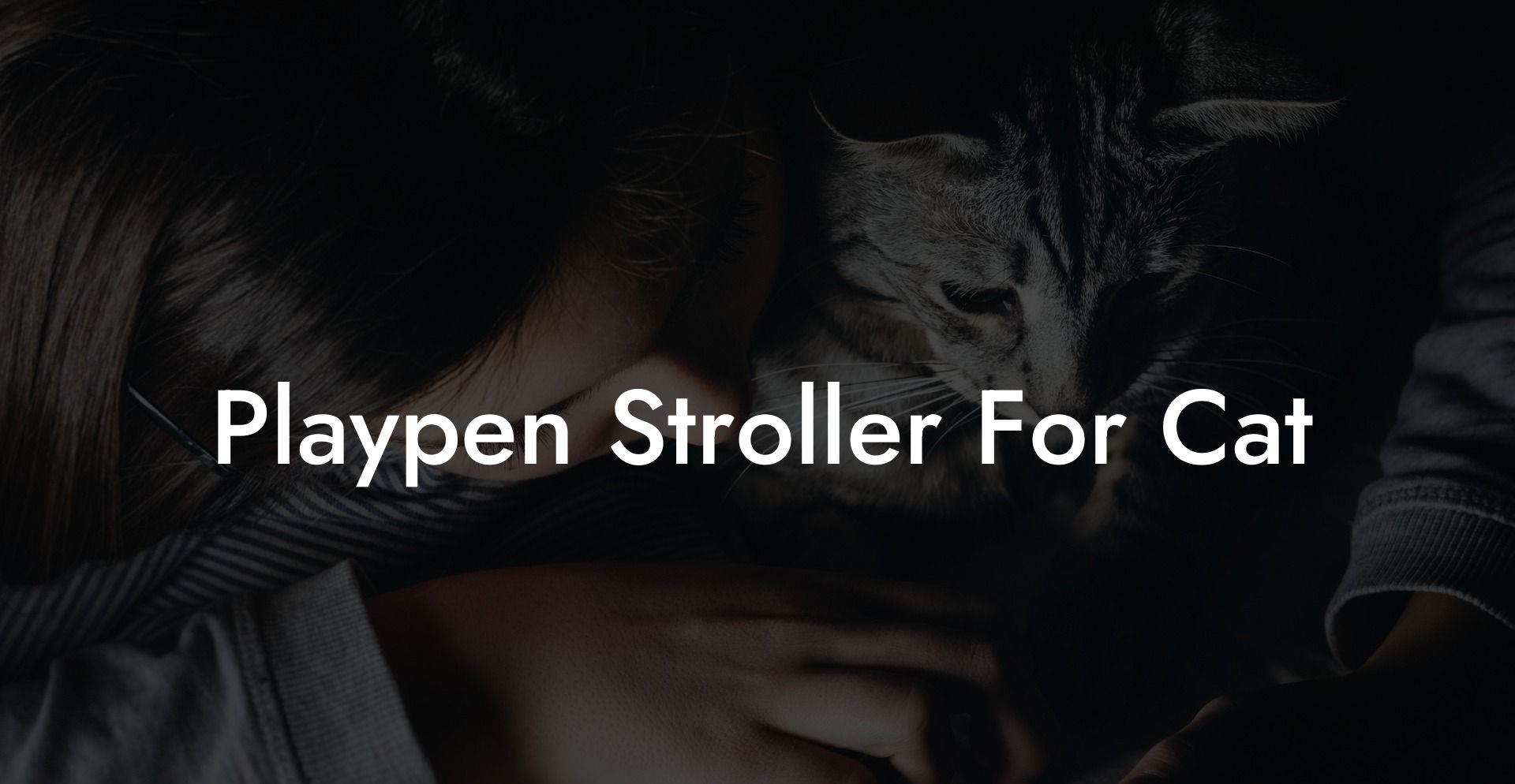 Playpen Stroller For Cat