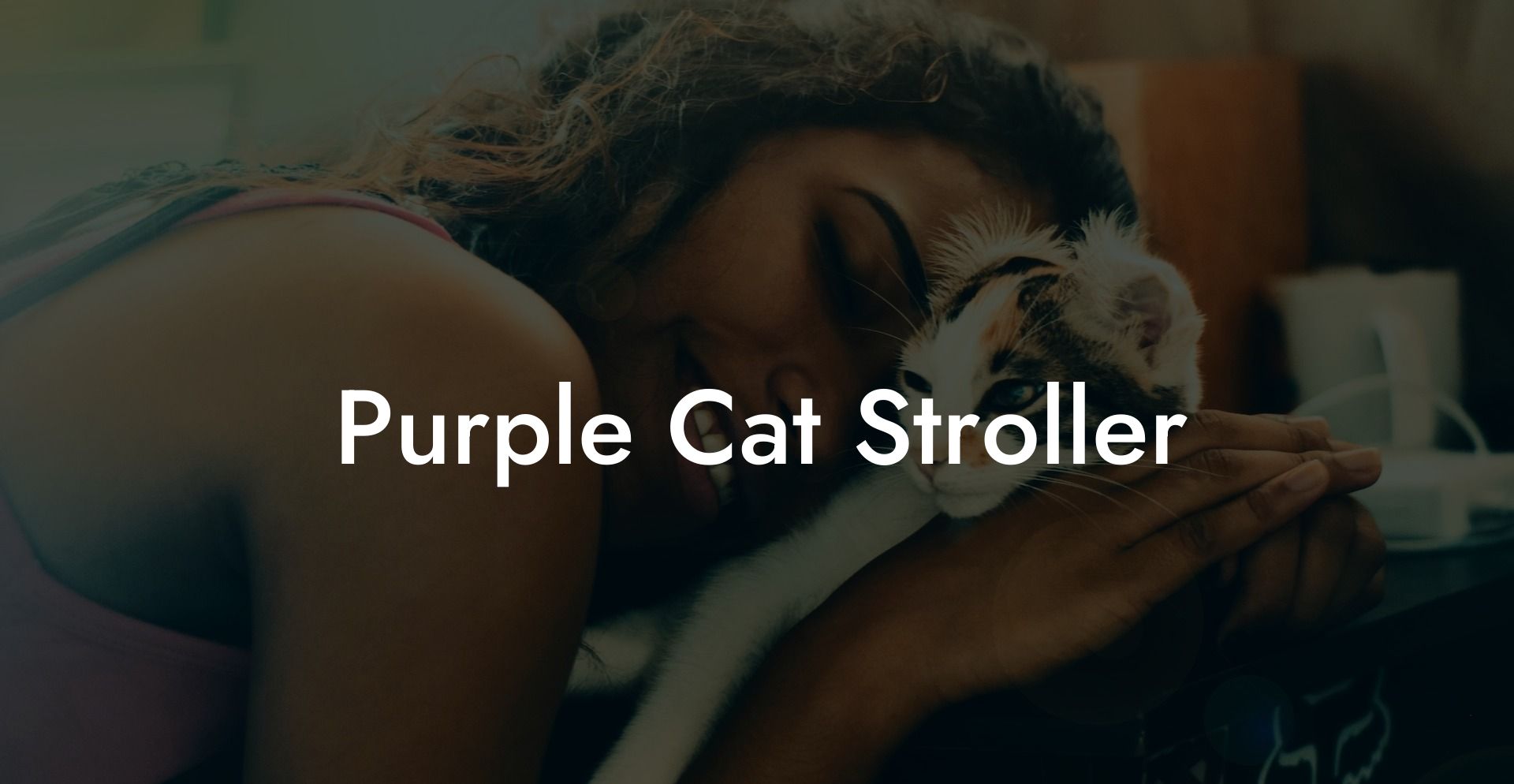 Purple Cat Stroller