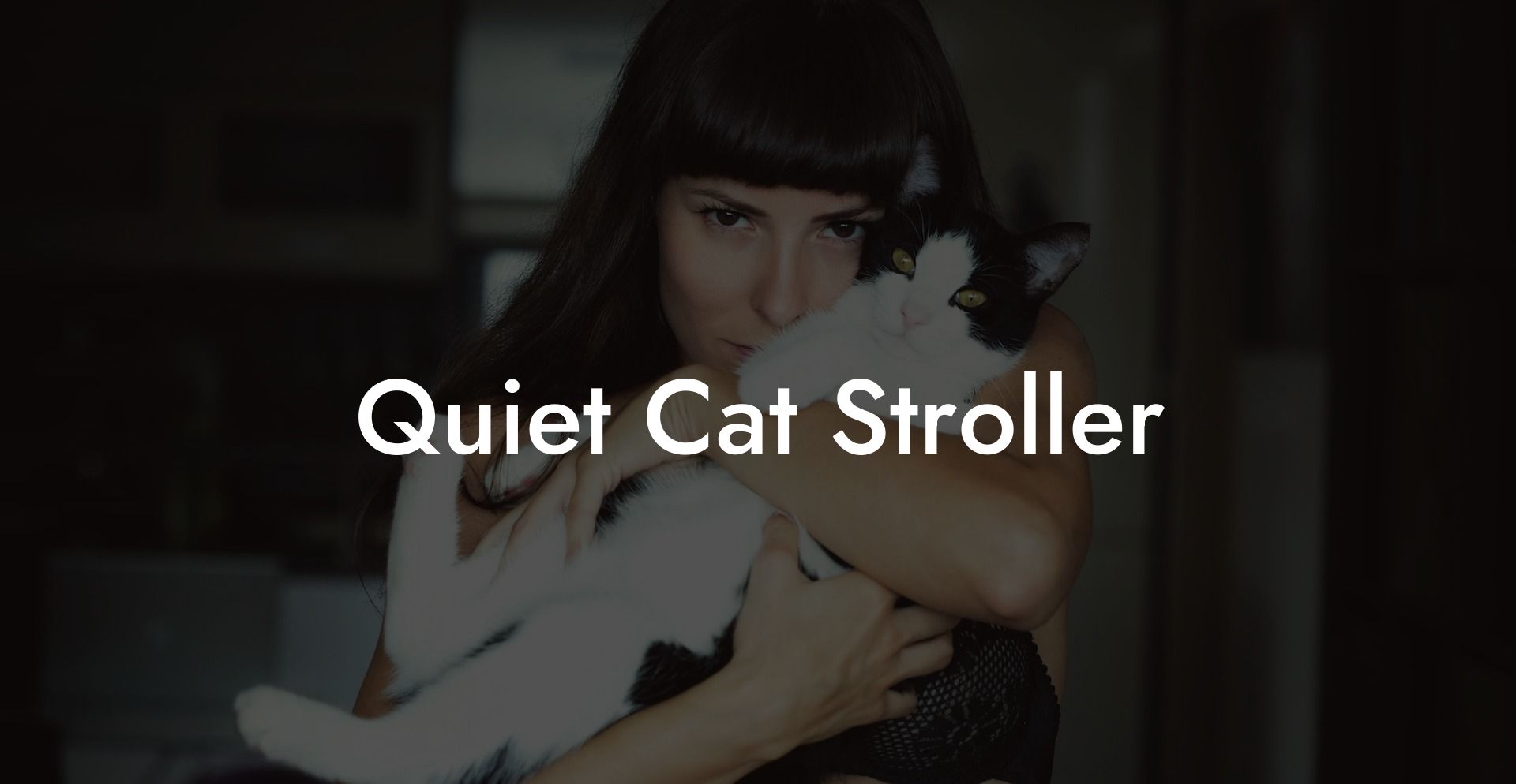 Quiet Cat Stroller