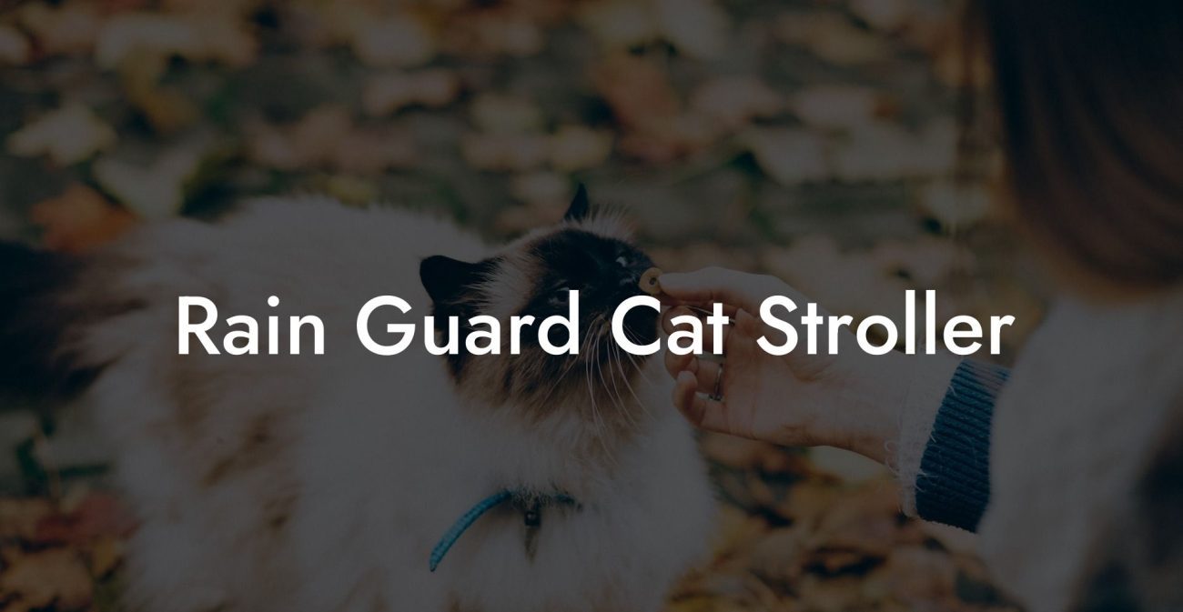 Rain Guard Cat Stroller