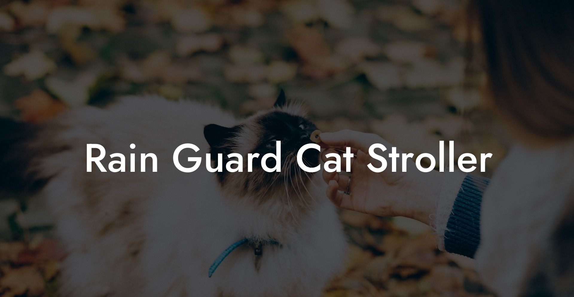 Rain Guard Cat Stroller