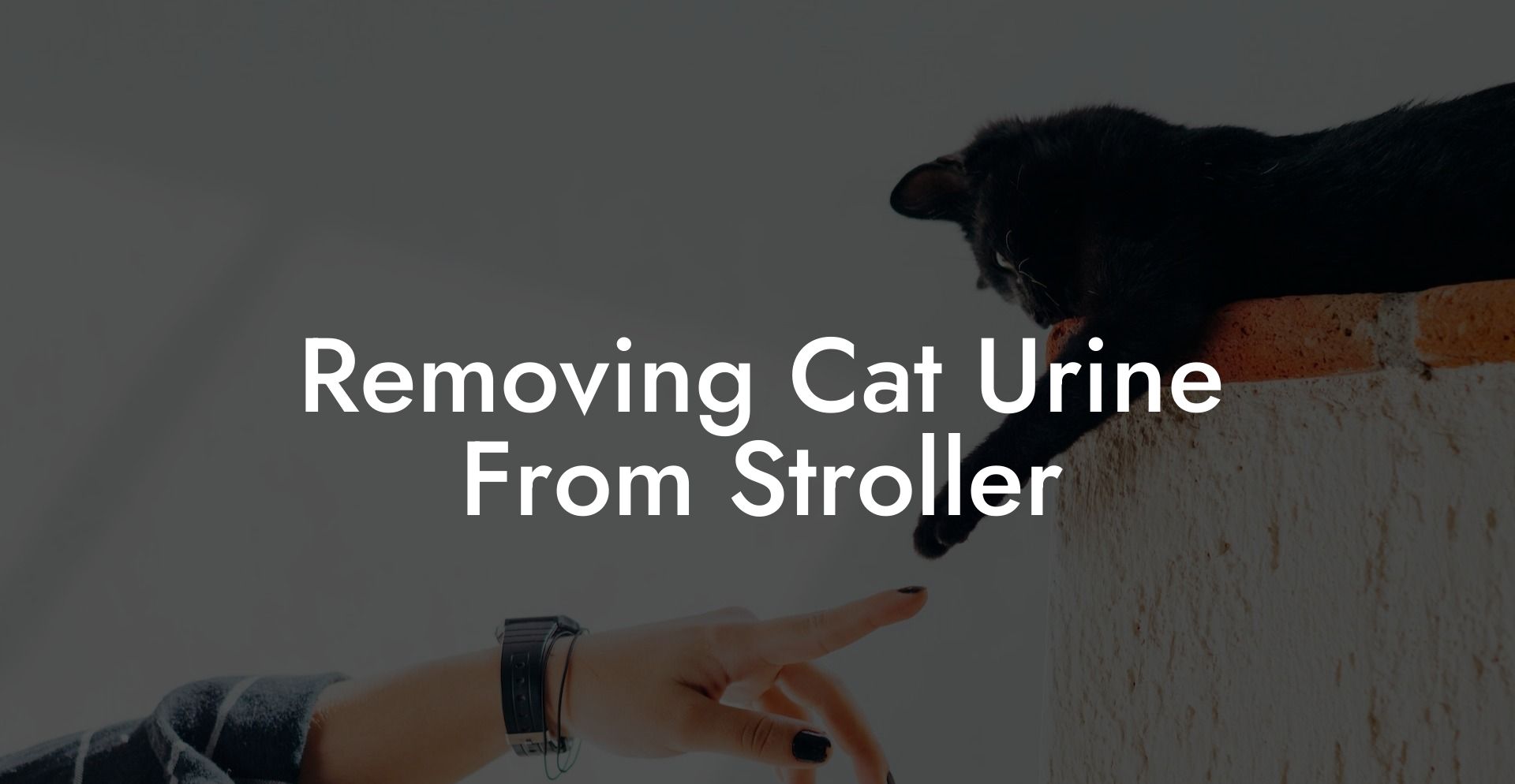 Removing Cat Urine From Stroller