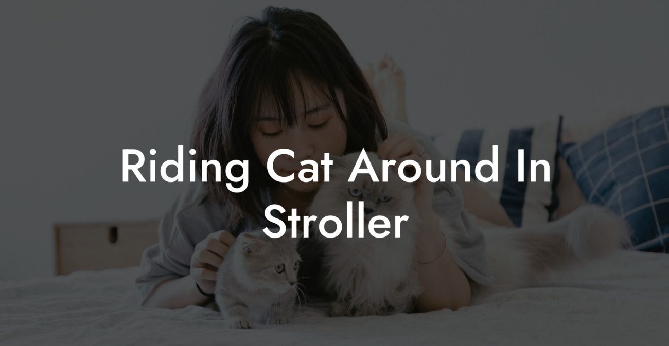 Riding Cat Around In Stroller