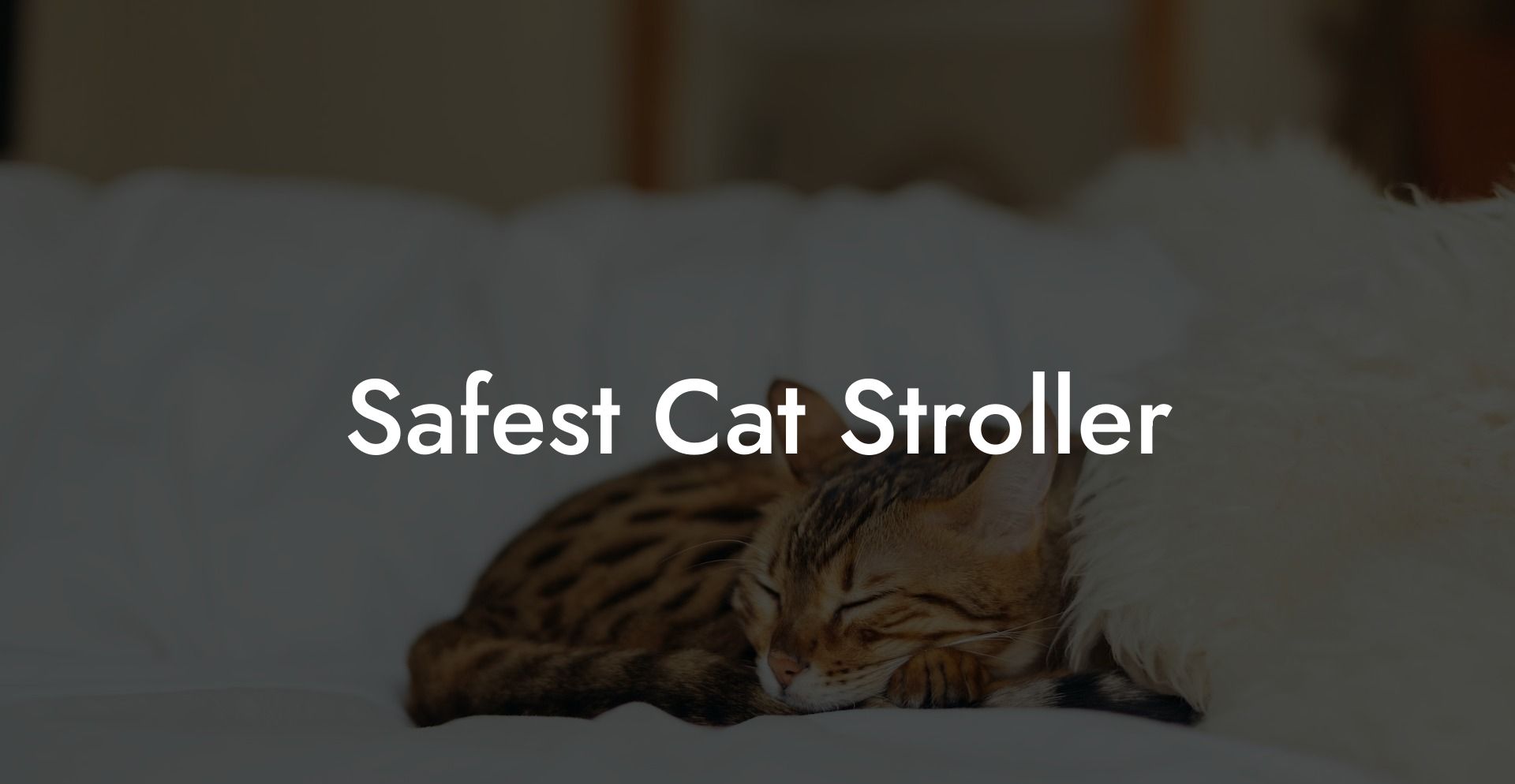 Safest Cat Stroller