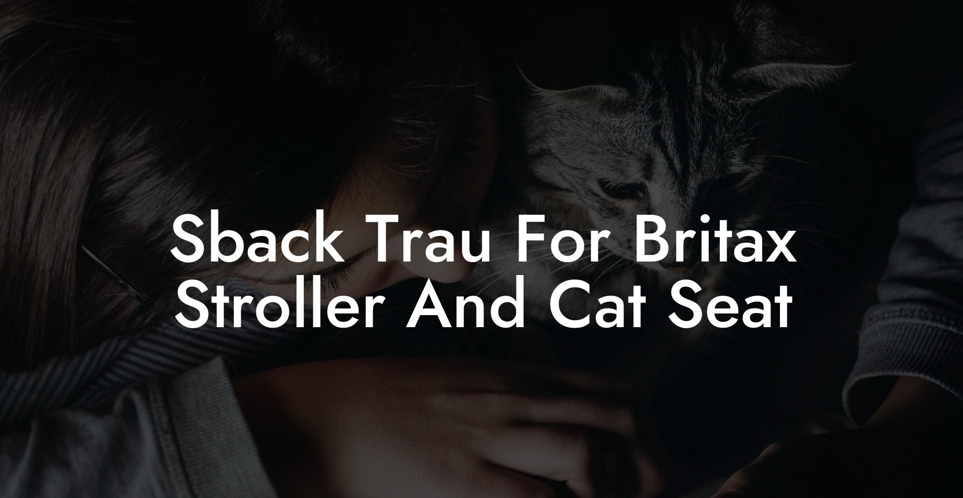 Sback Trau For Britax Stroller And Cat Seat