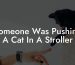 Someone Was Pushing A Cat In A Stroller