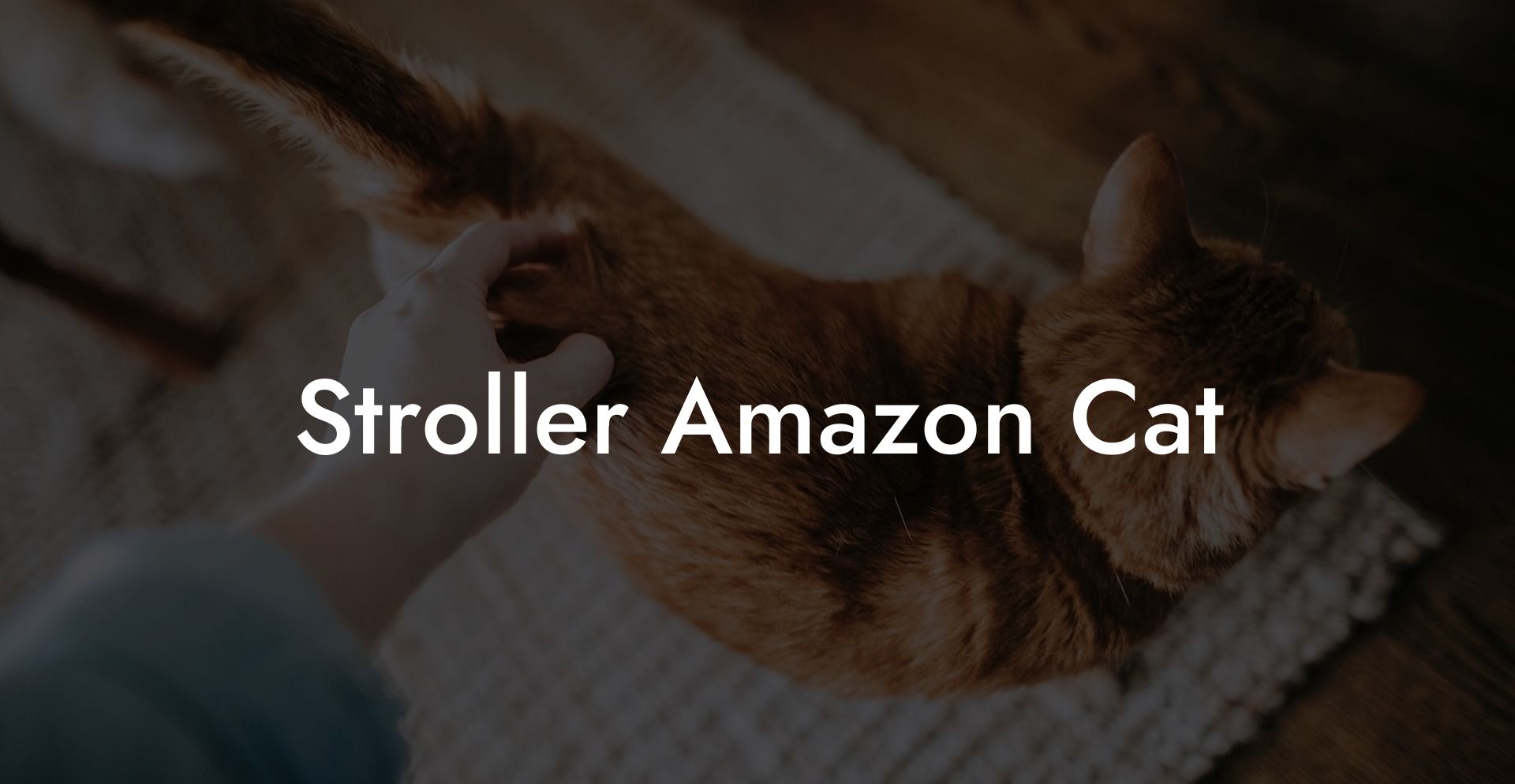 Stroller Amazon Cat