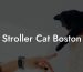 Stroller Cat Boston