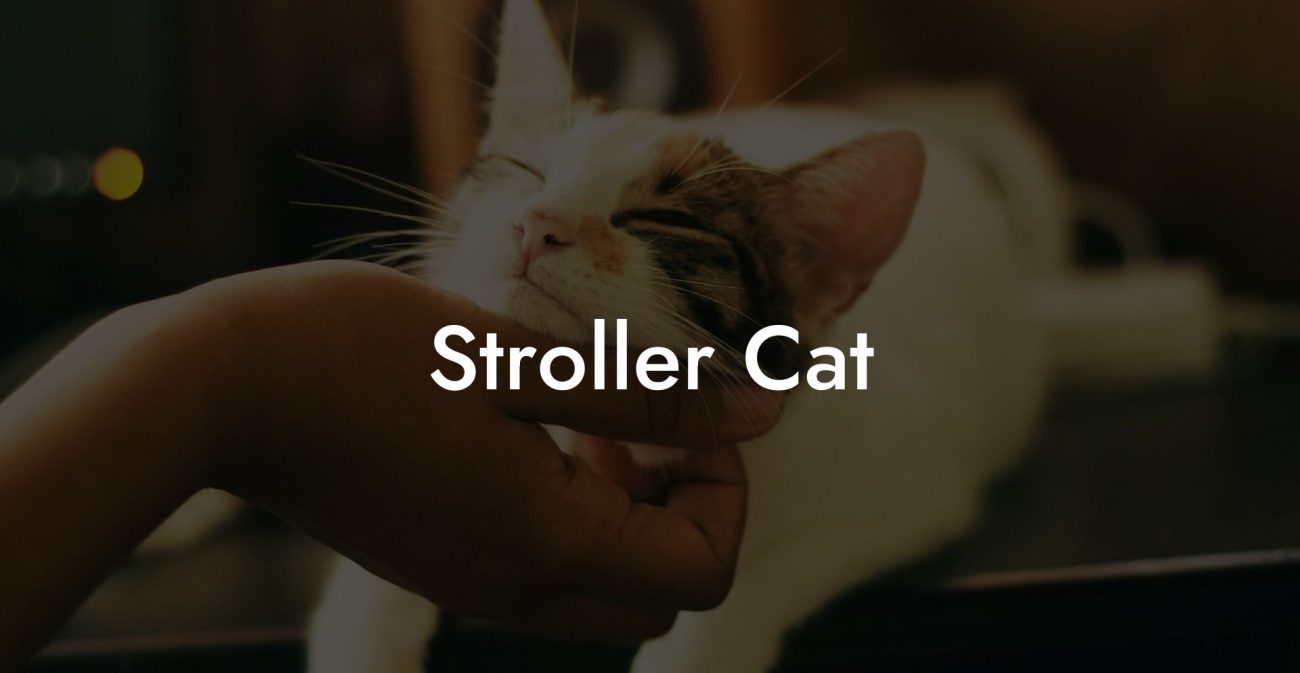 Stroller Cat