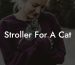 Stroller For A Cat
