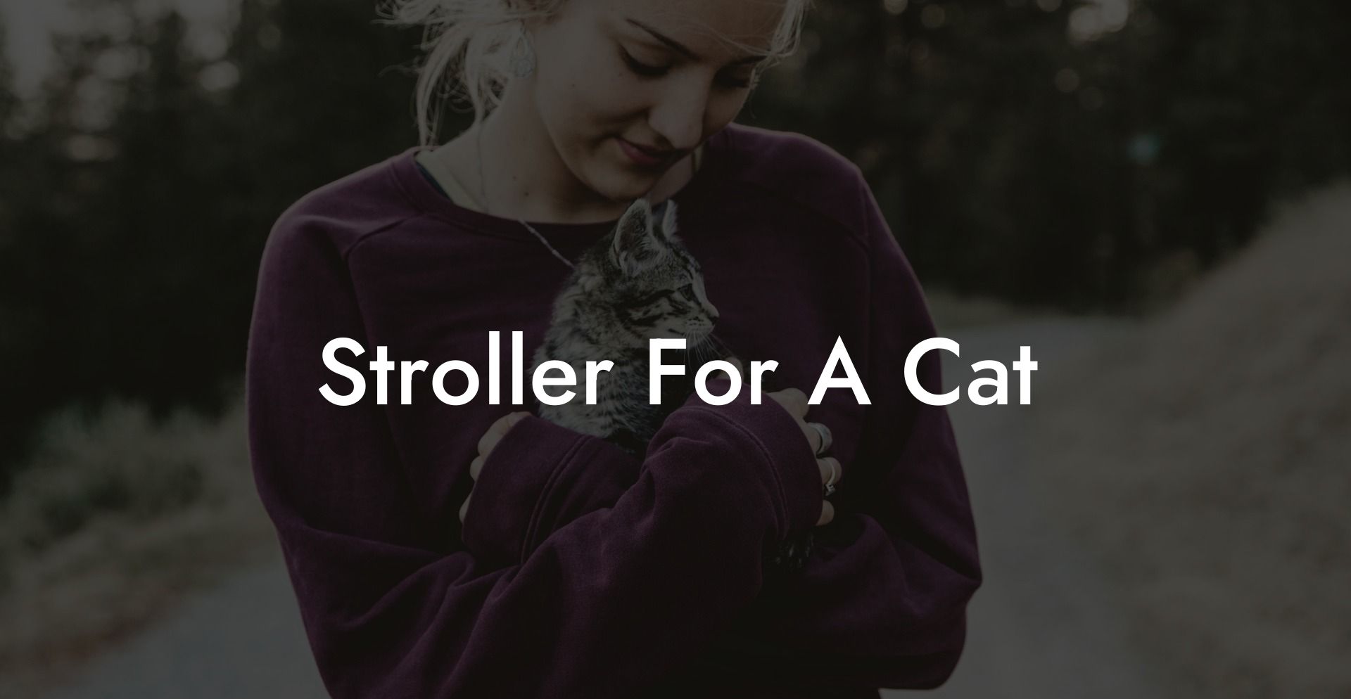 Stroller For A Cat
