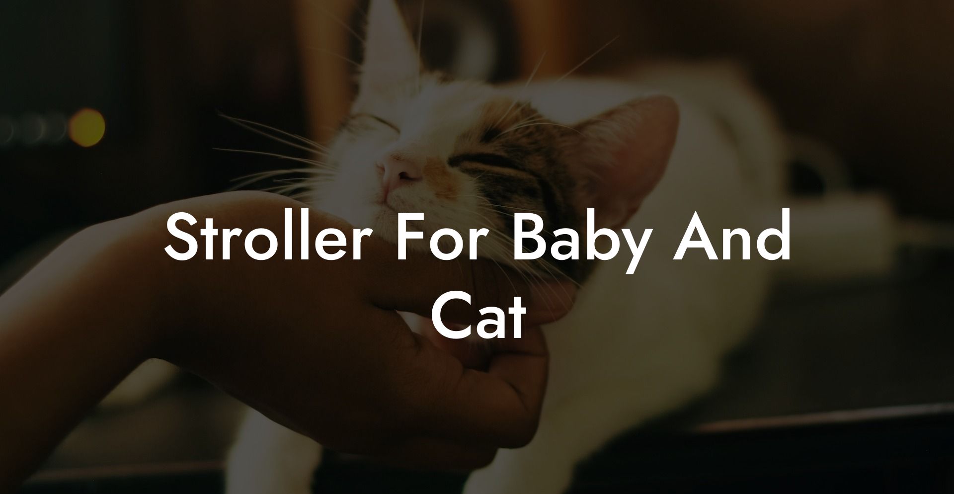 Stroller For Baby And Cat