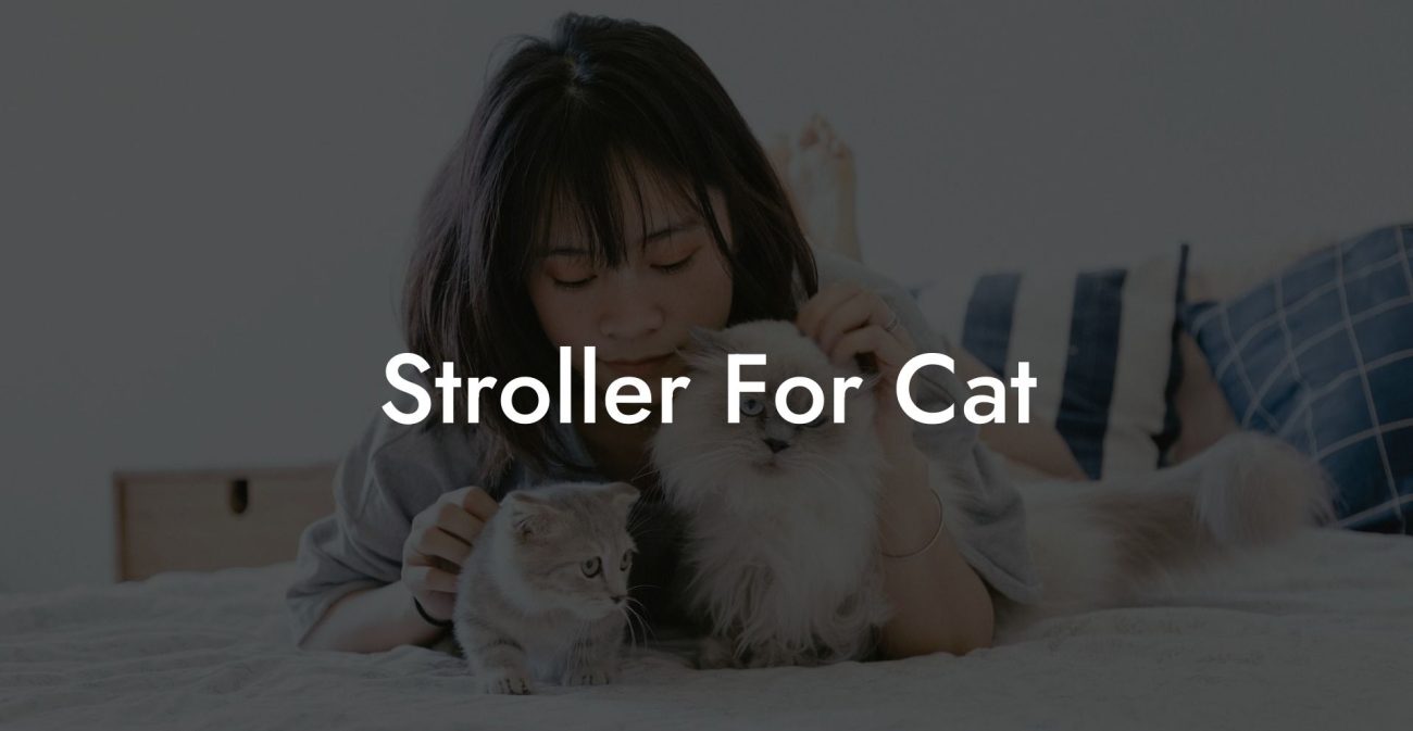 Stroller For Cat