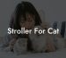 Stroller For Cat