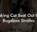 Taking Cat Seat Out Of Bugaboo Stroller