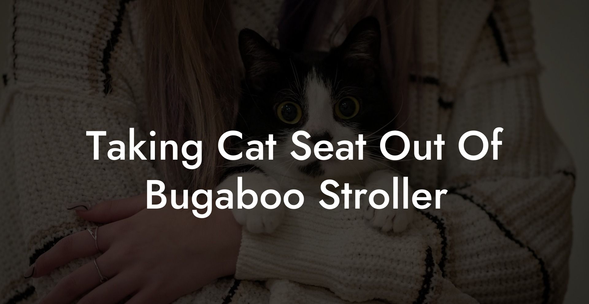 Taking Cat Seat Out Of Bugaboo Stroller