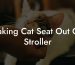 Taking Cat Seat Out Of Stroller