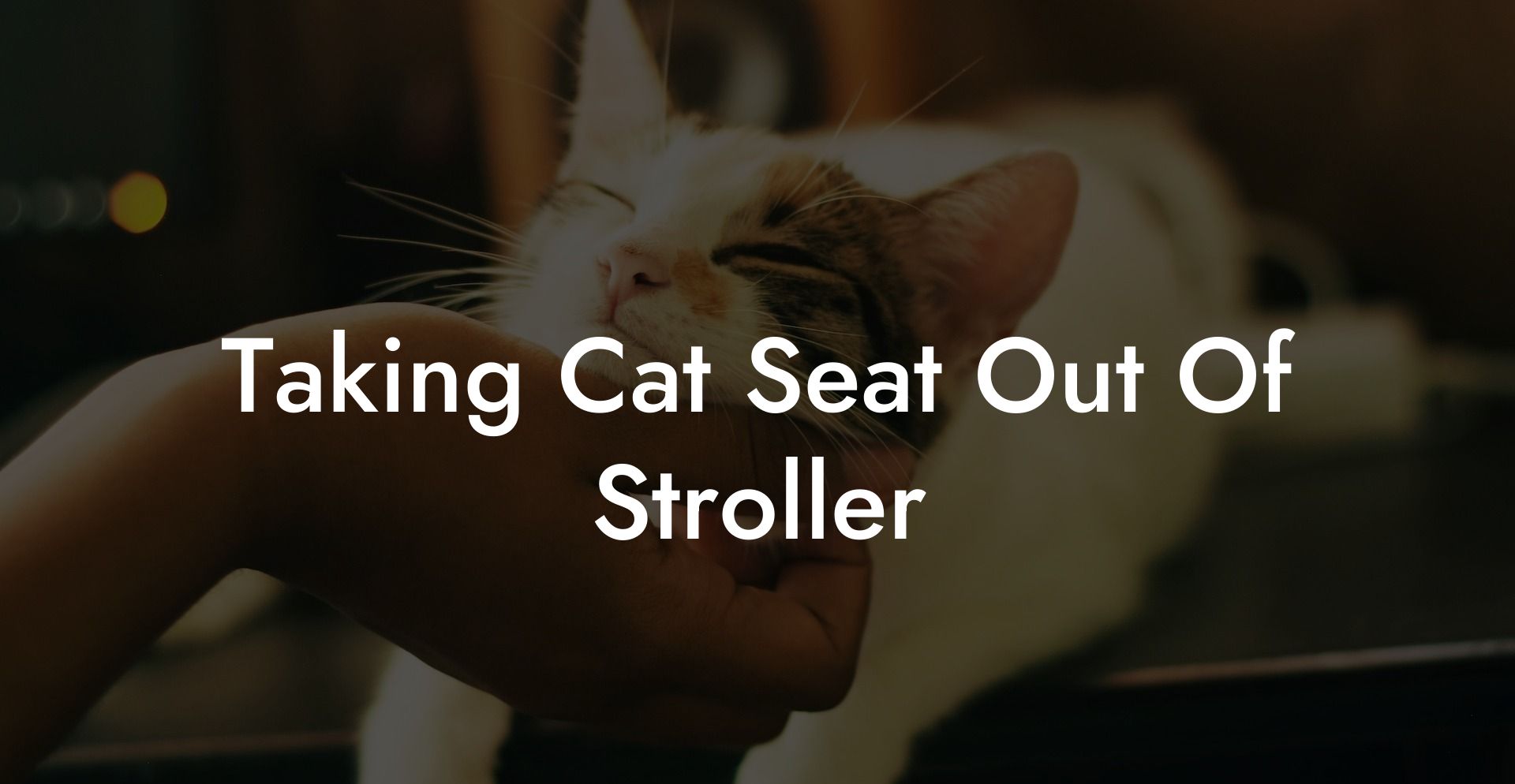 Taking Cat Seat Out Of Stroller