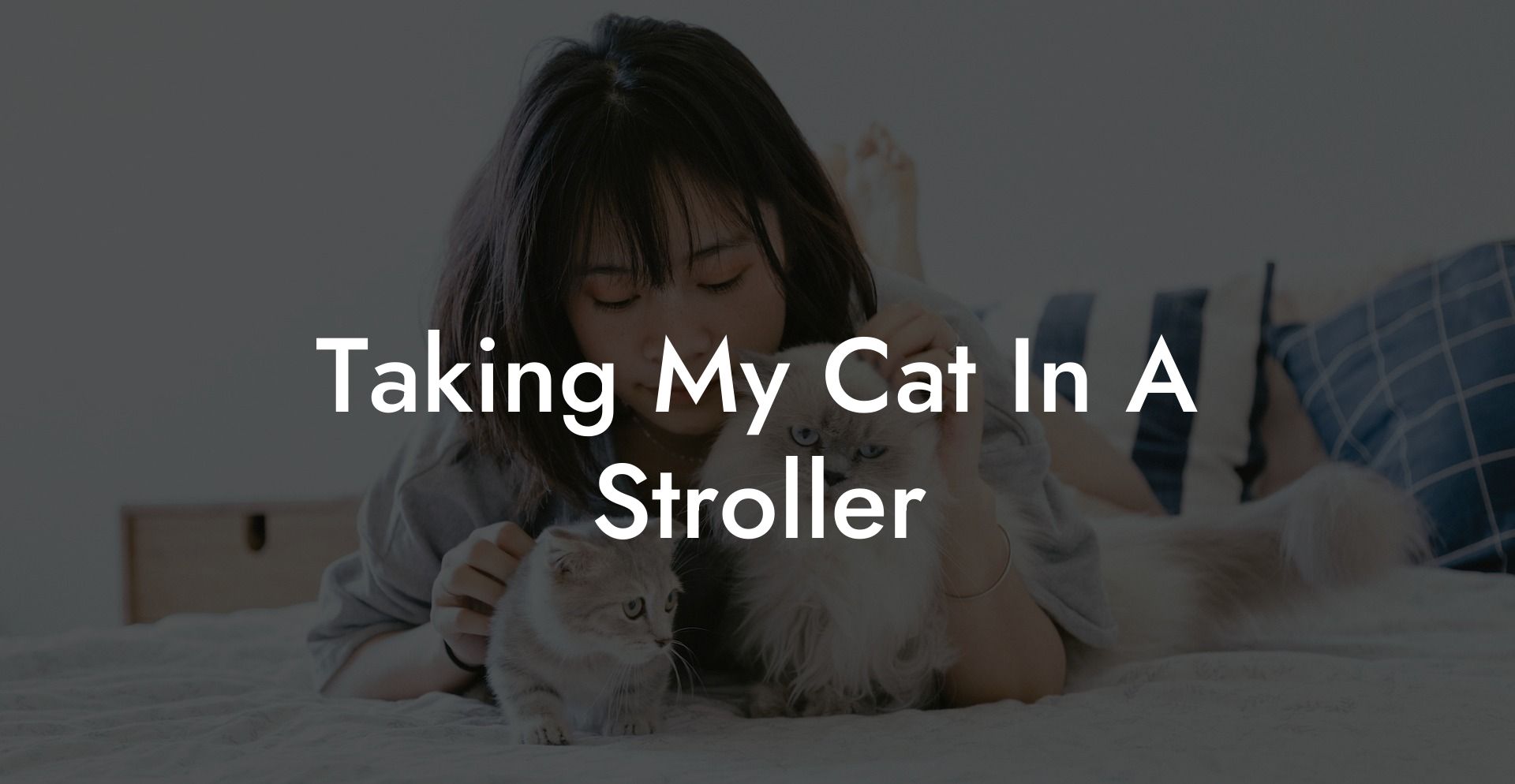 Taking My Cat In A Stroller