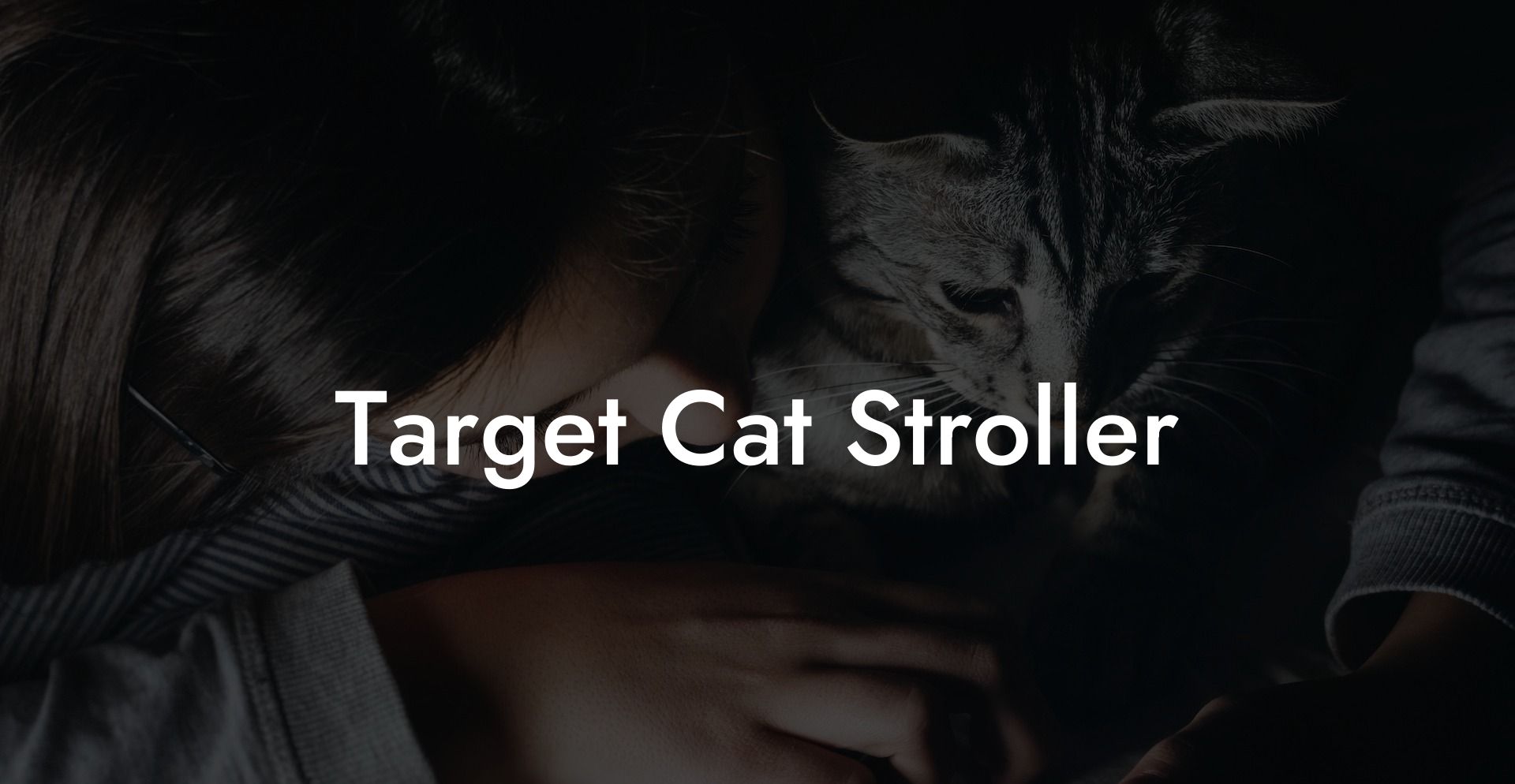 Target Cat Stroller