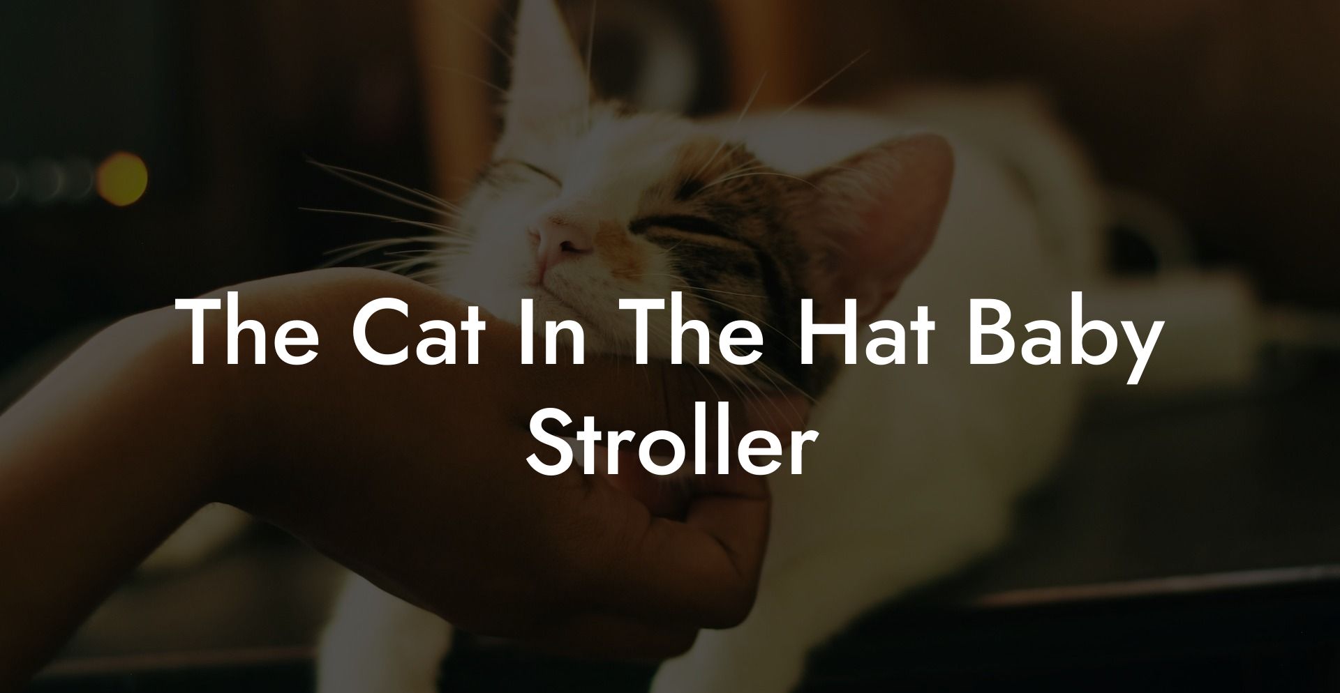 The Cat In The Hat Baby Stroller