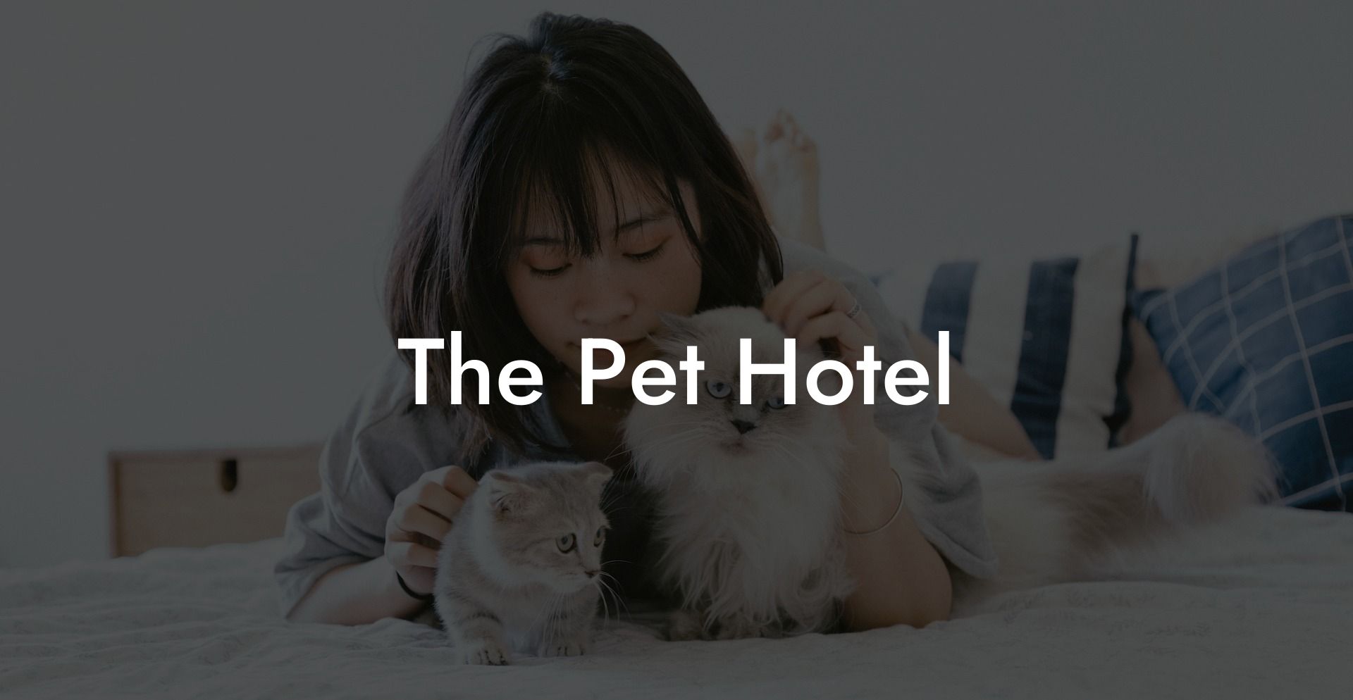 The Pet Hotel