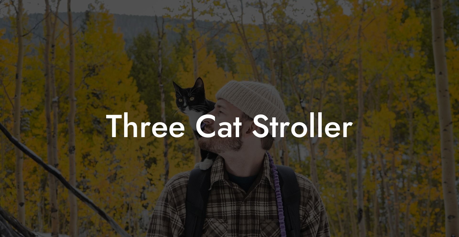 Three Cat Stroller