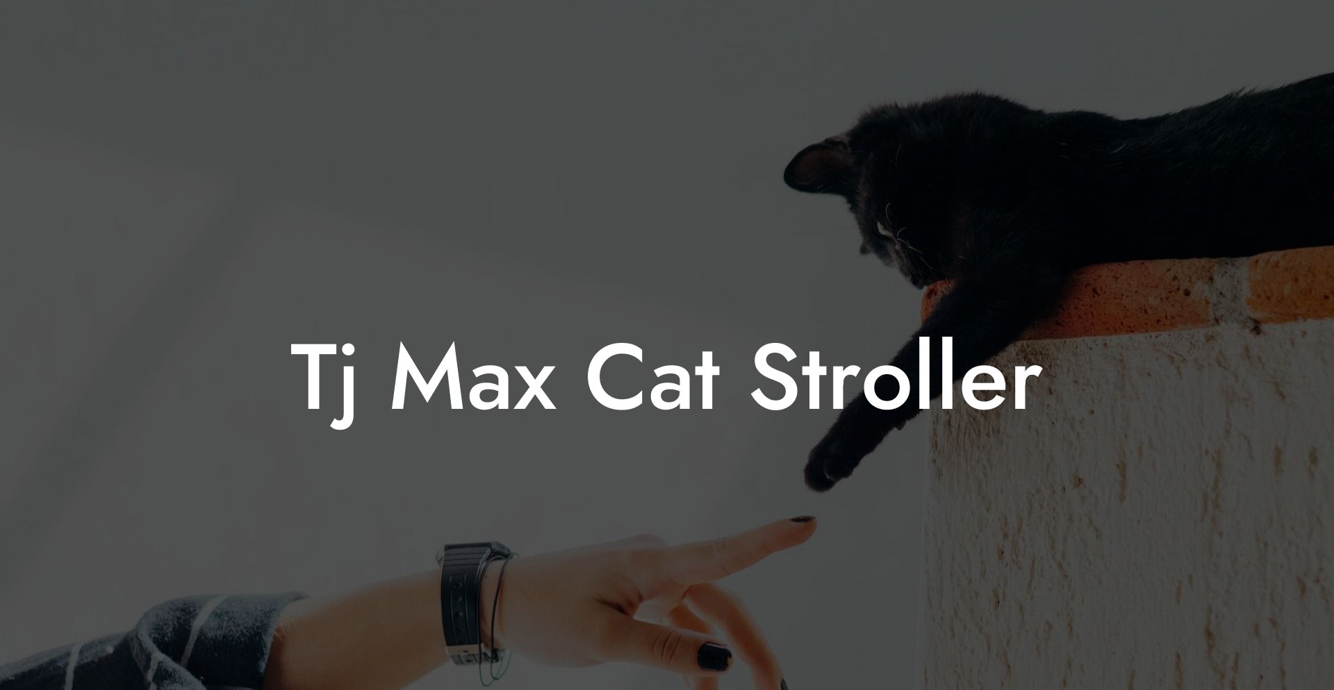 Tj Max Cat Stroller