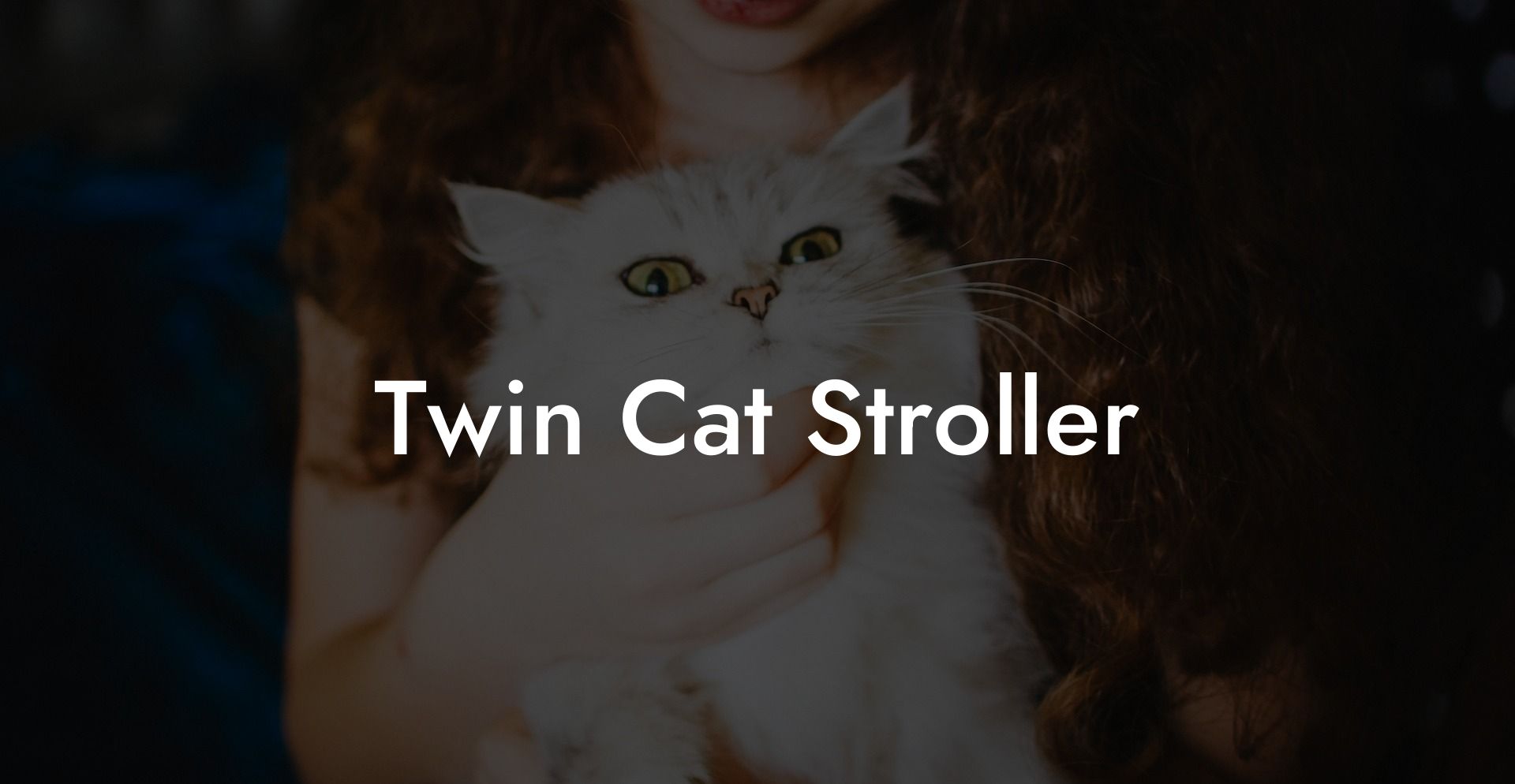 Twin Cat Stroller