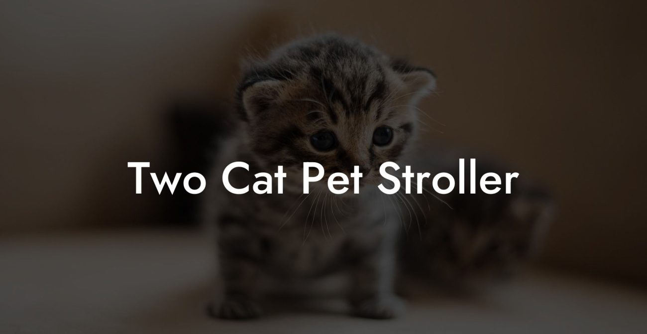 Two Cat Pet Stroller