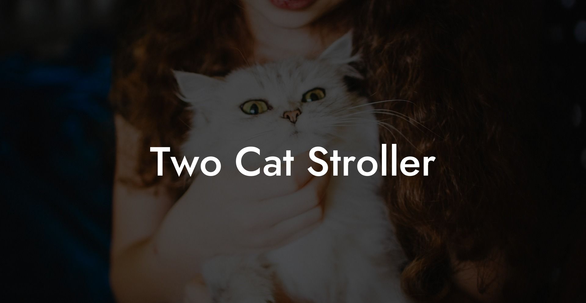 Two Cat Stroller