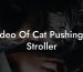Video Of Cat Pushing A Stroller