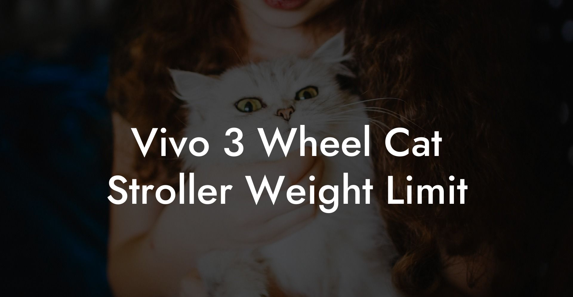 Vivo 3 Wheel Cat Stroller Weight Limit