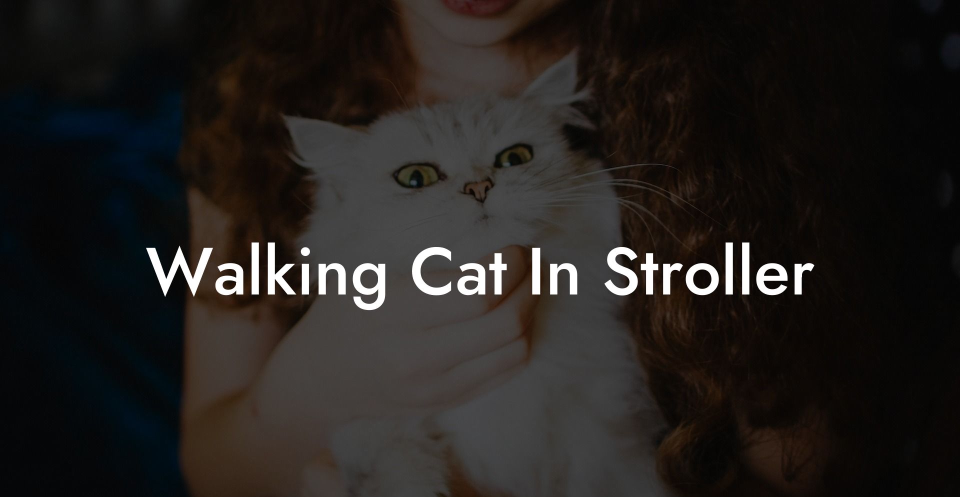Walking Cat In Stroller