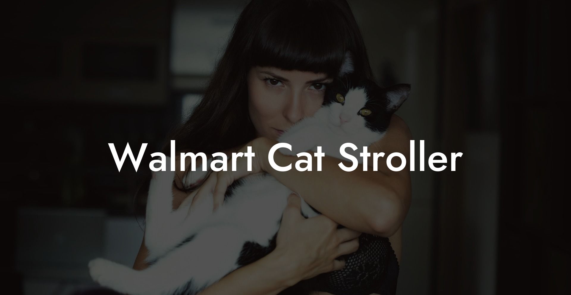 Walmart Cat Stroller