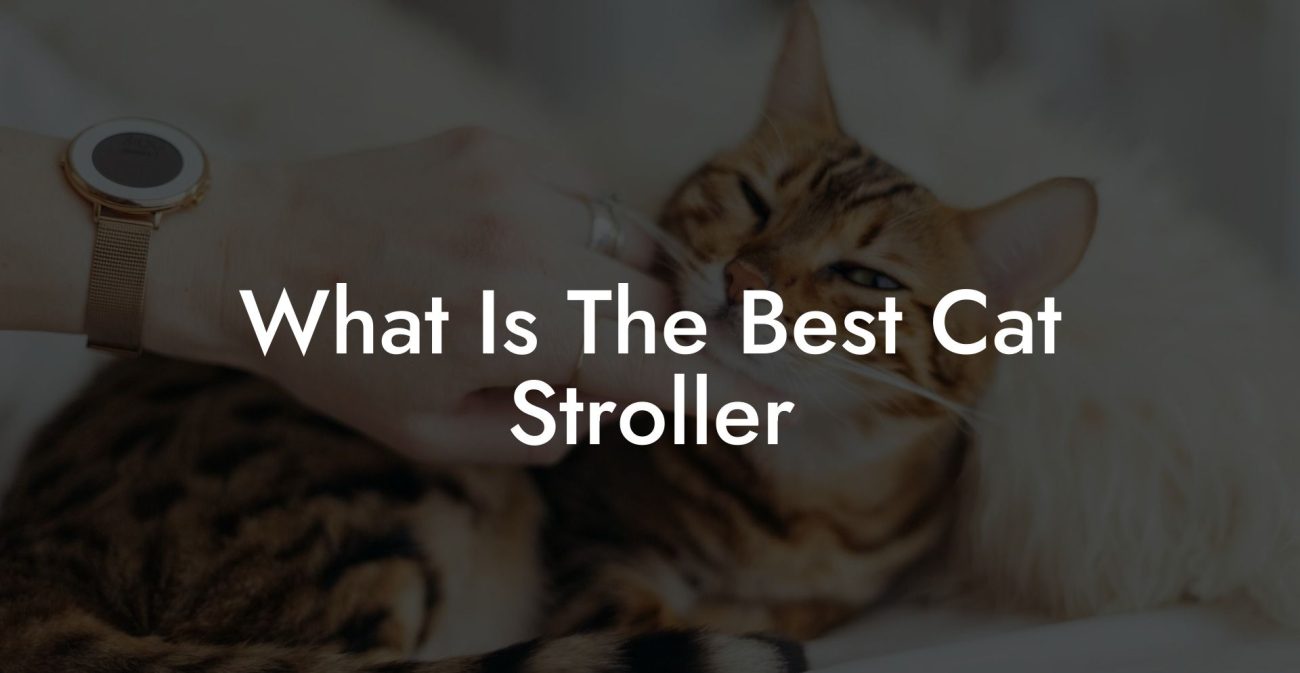 What Is The Best Cat Stroller