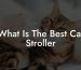 What Is The Best Cat Stroller