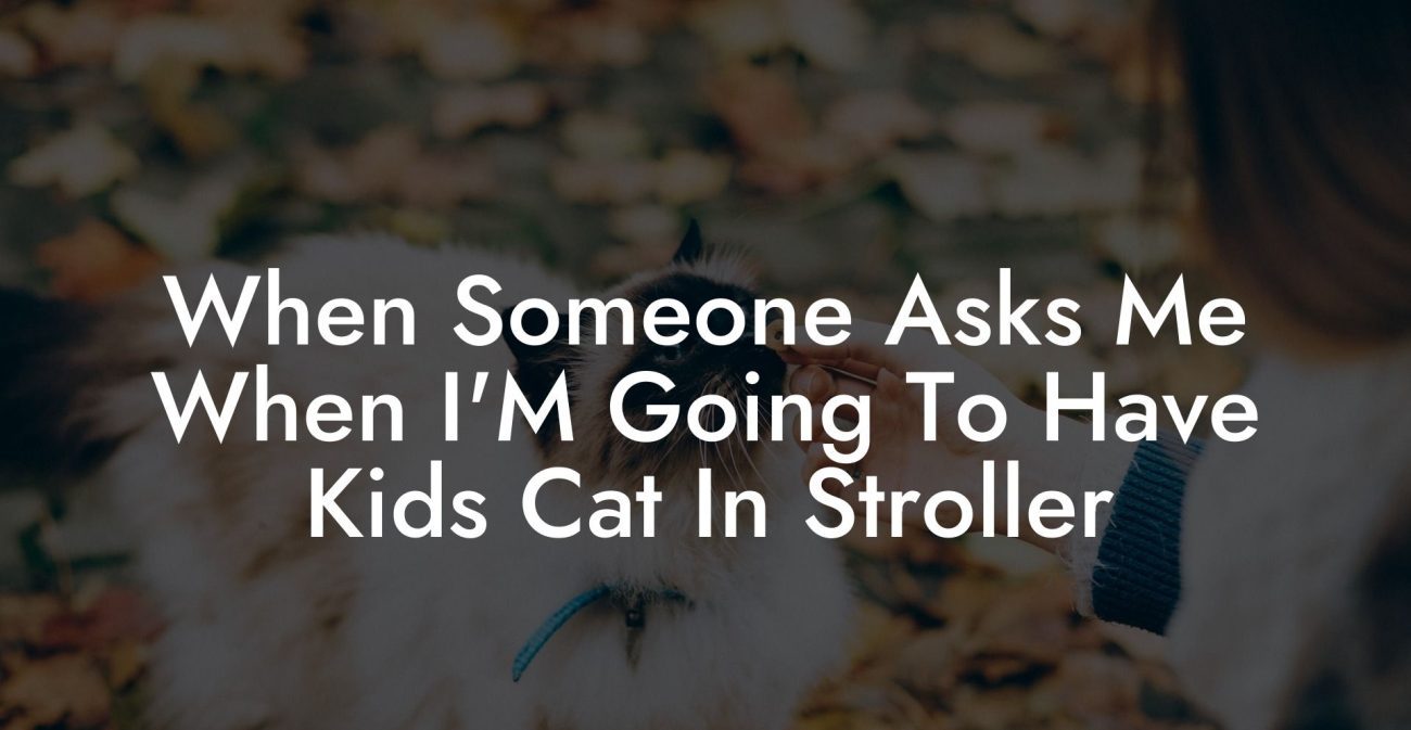 When Someone Asks Me When I'M Going To Have Kids Cat In Stroller