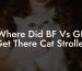 Where Did BF Vs GF Get There Cat Stroller