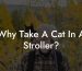 Why Take A Cat In A Stroller?